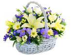 Звуки Весны